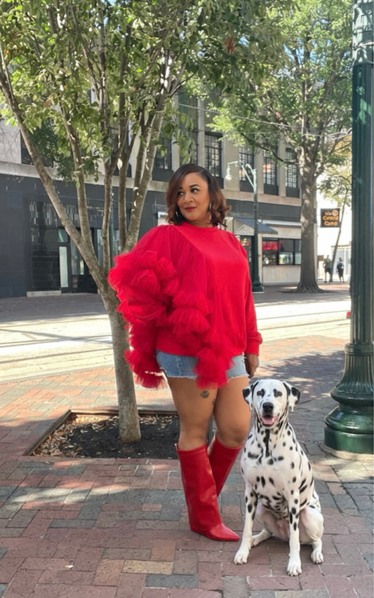 Fairytale tulle ruffle sweatshirt